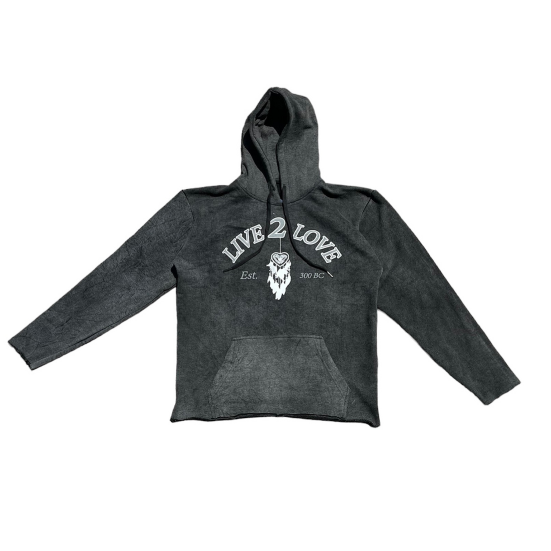 Dream Catcher Hoodie
